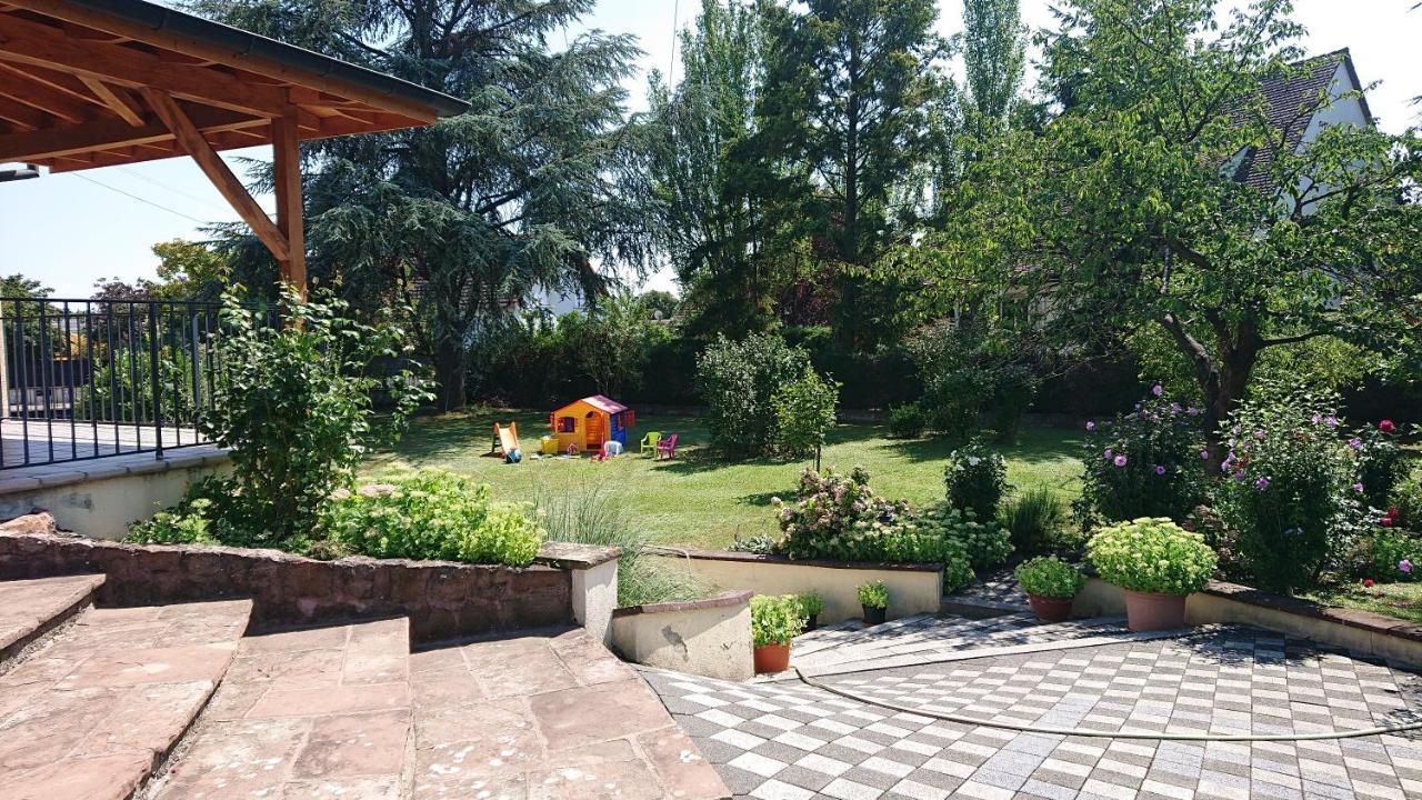 Logement Entier: Route Des Vins.Wintzenheim Apartment ภายนอก รูปภาพ